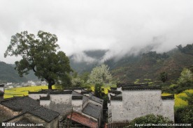 婺源风光