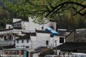 婺源风光