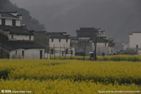婺源风光