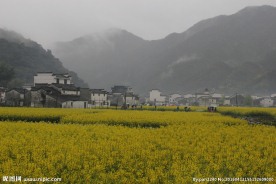 婺源风光