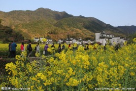 婺源风光