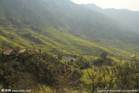婺源风光