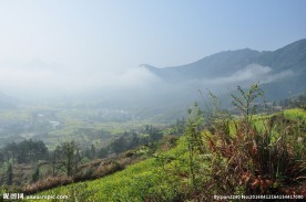 婺源风光