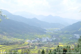 婺源风光