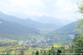 婺源风光
