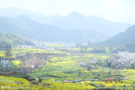 婺源风光