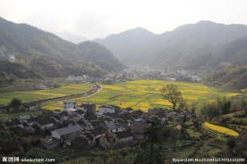 婺源风光