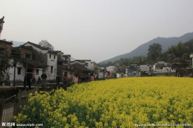 婺源风光