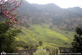婺源风光