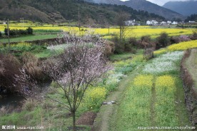婺源风光