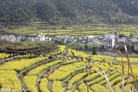 婺源风光