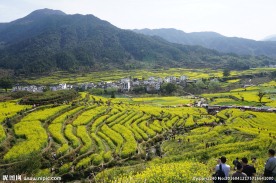 婺源风光