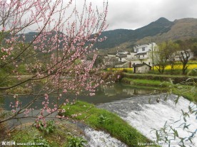 婺源风光