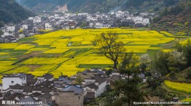 婺源风光