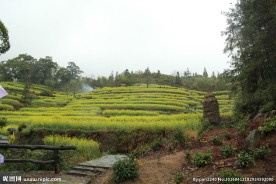 婺源风光