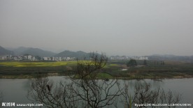 婺源风光