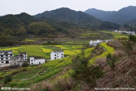婺源风光