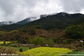 婺源风光