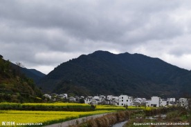 婺源风光