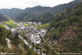 婺源风光