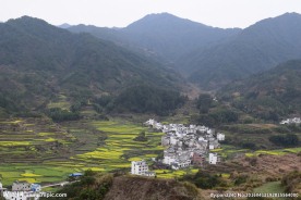 婺源风光