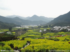 婺源风光