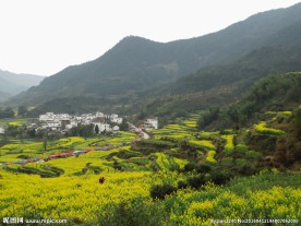 婺源风光