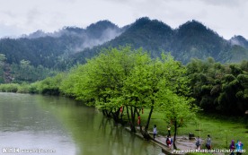 婺源风光