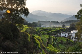 婺源风光