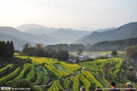 婺源风光