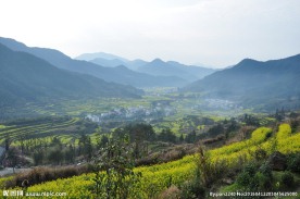 婺源风光