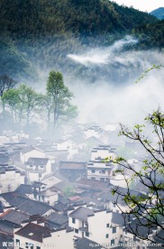 婺源风光