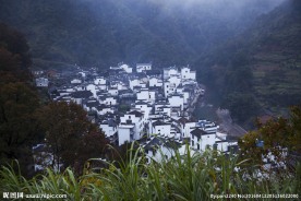 婺源风光