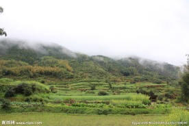婺源风光