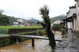 婺源风光