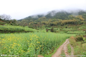 婺源风光