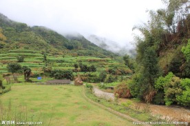 婺源风光