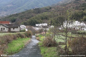 婺源风光