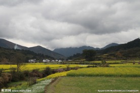 婺源风光