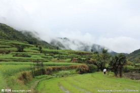 婺源风光