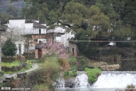 婺源风光