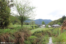 婺源风光