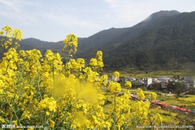 婺源风光