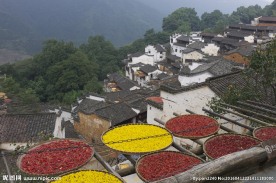 婺源风光