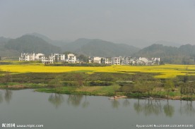 婺源风光