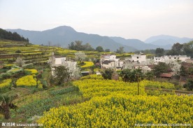 婺源风光