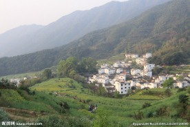 婺源风光