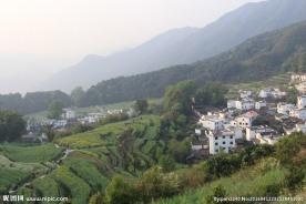 婺源风光