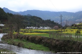 婺源风光