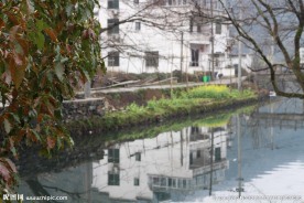 婺源风光